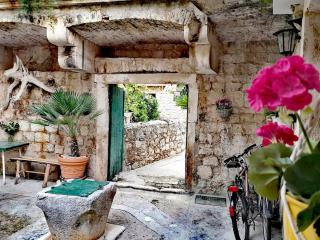Historic house - 8