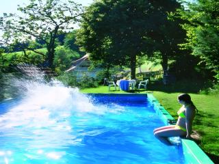 Schornhof - Oberwolfach - 7
