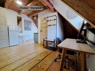 Górskie apartamenty Kowary - Kowary - 8