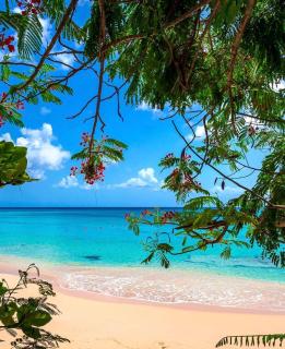 Paradise Townhome on Mullins Beach - Saint Peter - 0