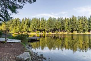 Charming Lakefront Log Cabin - Fall City - 3