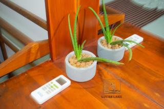 Lucas Lake Hotel - Tissamaharama - 2