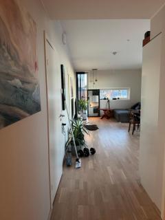 Near Granåsen - Trondheim - 3
