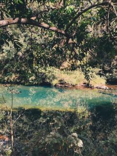 Vila Floresta - Chalé Onça Pintada - Alto Paraíso de Goiás - 2