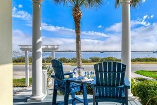 The Dolphins of Salt Run - 9