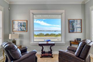 The Dolphins of Salt Run - 8