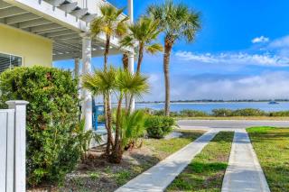 The Dolphins of Salt Run - 5