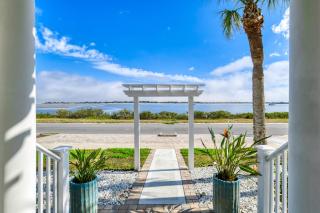 The Dolphins of Salt Run - 2