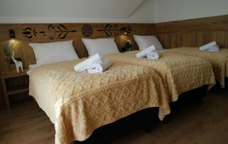 Perła Tatr - Noclegi z widokiem na góry - Zakopane - 3
