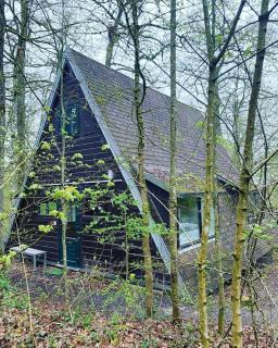 Chalet la Catrina - Bungalow 41, Sunclass Durbuy - Durbuy - 5