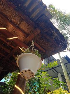 Cane Homestay - Ella - 0