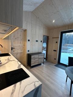 Dubinga River Valley House & SPA - FREE sauna - - 4
