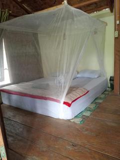 Landak River Guest House Only trekking with Us - Bukit Lawang - 0