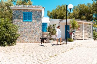Residence Le Orchidee - Vieste - 2