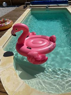 Stunning Maison du Maitre near Cognac private pool - 3