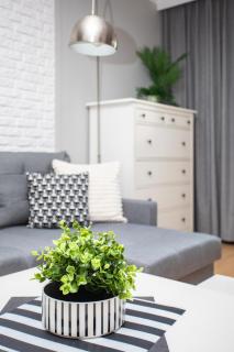 Apartament Polan 50 - Rataje - Poznań - 9