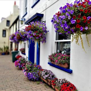 Bonjour Guest house - Alderney - 0