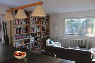Appartement central, vue MontBlanc, parking, wifi - Chamonix - 7