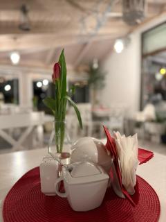 Pensjonat Riwiera z widokiem na Zalew Wiślany - 9