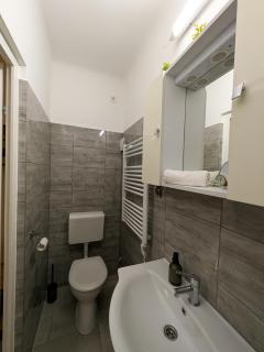 Frasolis Studio Apartman - Szeged - 4