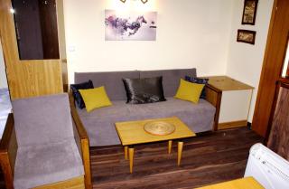 Vila Nikola 202 centar - Kopaonik - 6