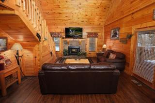 Bear Country by Colonial Properties - Sevierville - 5