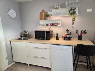 Cozy newly renovated studio apartment - Akureyri - 1