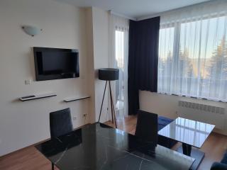 Mountain Ski & SPA apartment - 6