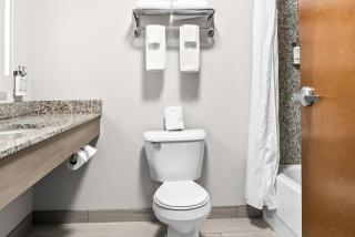 Holiday Inn Express & Suites - Detroit North - Roseville by IHG - Roseville - 6