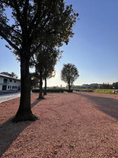 Emilia381 Suite - Anzola dell'Emilia - 9