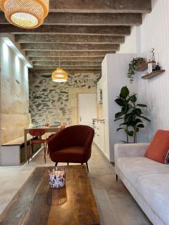 Jolie maison en centre ville avec climatisation grand lit double - Arles - 1
