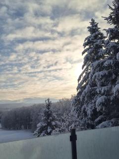 Beautiful estate, site magique, 4 bdr, - Dunham - 4
