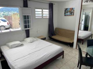 Le Pavillon Ananas - Gros-Morne - 9