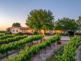 Krisyn Vineyards - 7