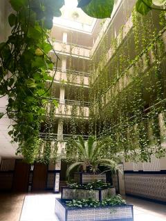 Goleta Beach Apartments Torrevieja - 7