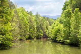 Gone Fishing by Stony Brook Cabins - Gatlinburg - 6