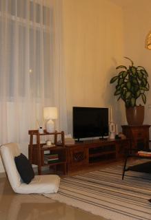 Boho Style Cozy 1 BHK Apartment - Abu Dhabi - 6