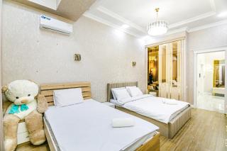 Apartment DeLuxe in the Centre - Baku - 9