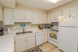 Spanish Trace 223 - 2