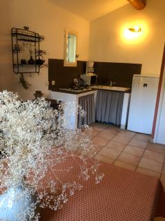 Les Mazets de Pascale - Saint-Rémy-de-Provence - 1