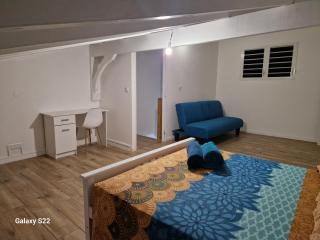 Villa Moringa - Les Abymes - 6