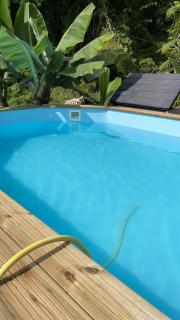 La suite Corossol - Gros-Morne - 3