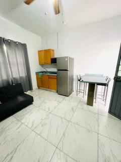 Cómodo departamento en el centro de Mty - Monterrey - 5