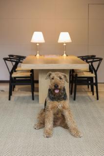 Hab306 zonaG by letoH - 7