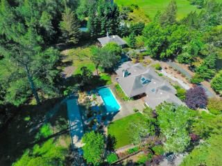 Luxe Villa Estate, Sonoma, Private Creek, Hot Tub, Pool, Bocce - Sebastopol - 9