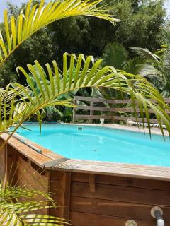 L'évasion Maracuja - Gros-Morne - 6