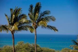 Maui Kamaole B214 - MCH - Kihei - 1