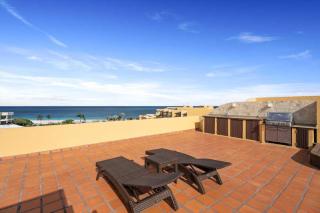 Beachfront - Amber Penthouse 2BR condo - P512 - Palm-Eagle Beach - 4