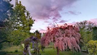 Chambre Privée chez Guillaume - 2