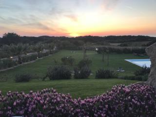 Villa Enga: with pool, in front of the sea and in the middle of wineyards - Badesi - 7